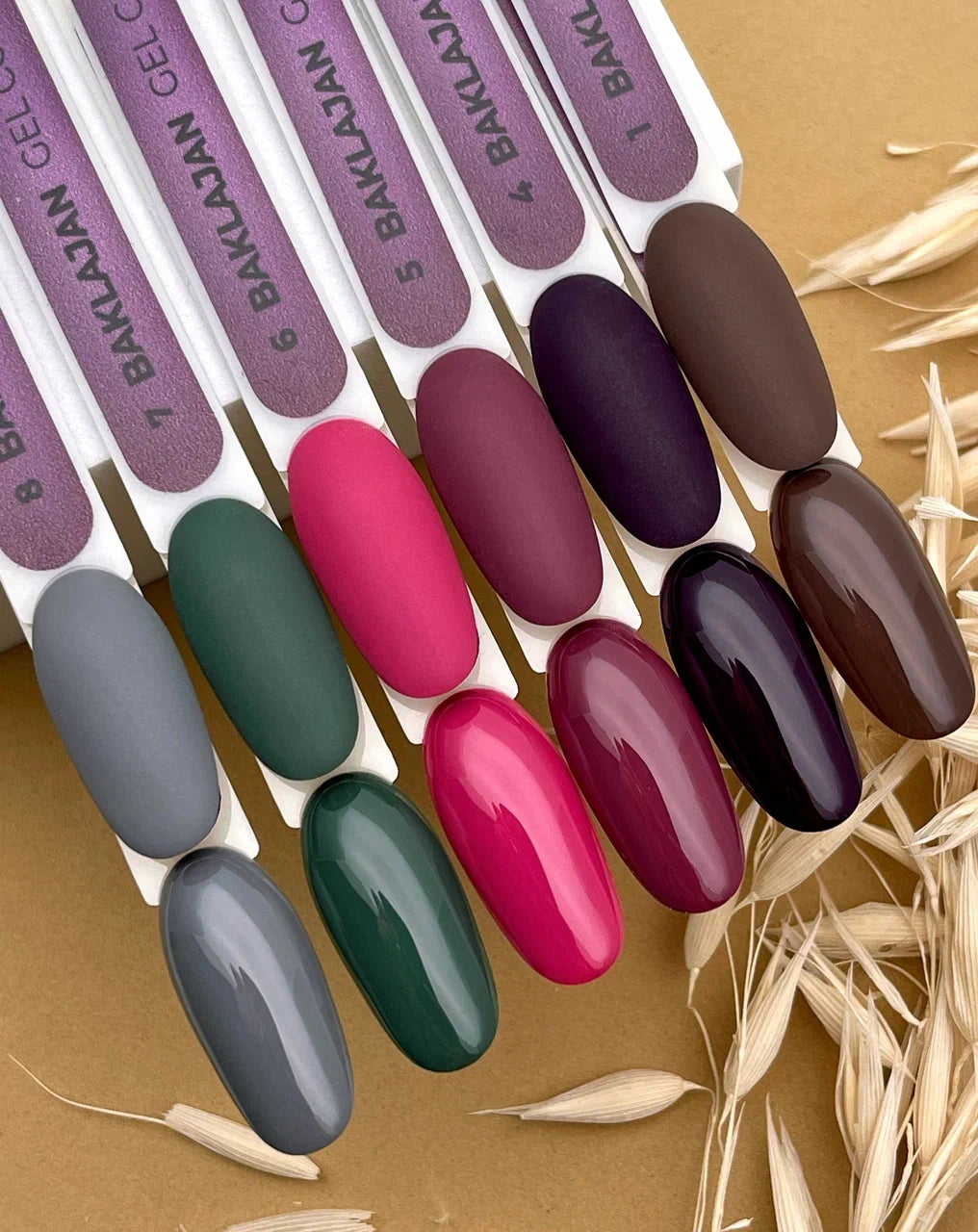 Baklajan Gel Polish №6 – 10ml Color Gel Polish | NailProUSA