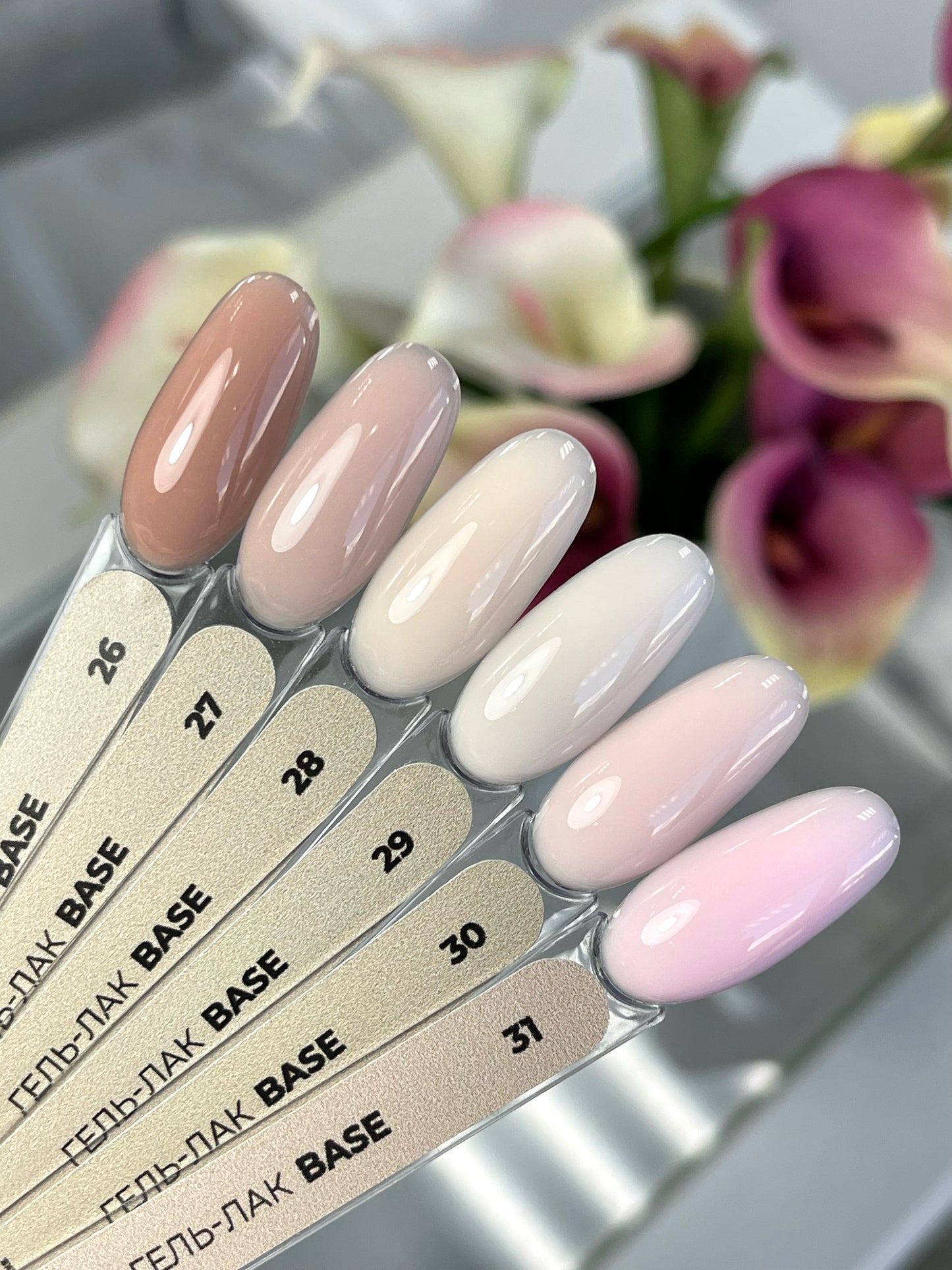 Color Base №29– 15ml Camouflage Builder Gel | NailProUSA