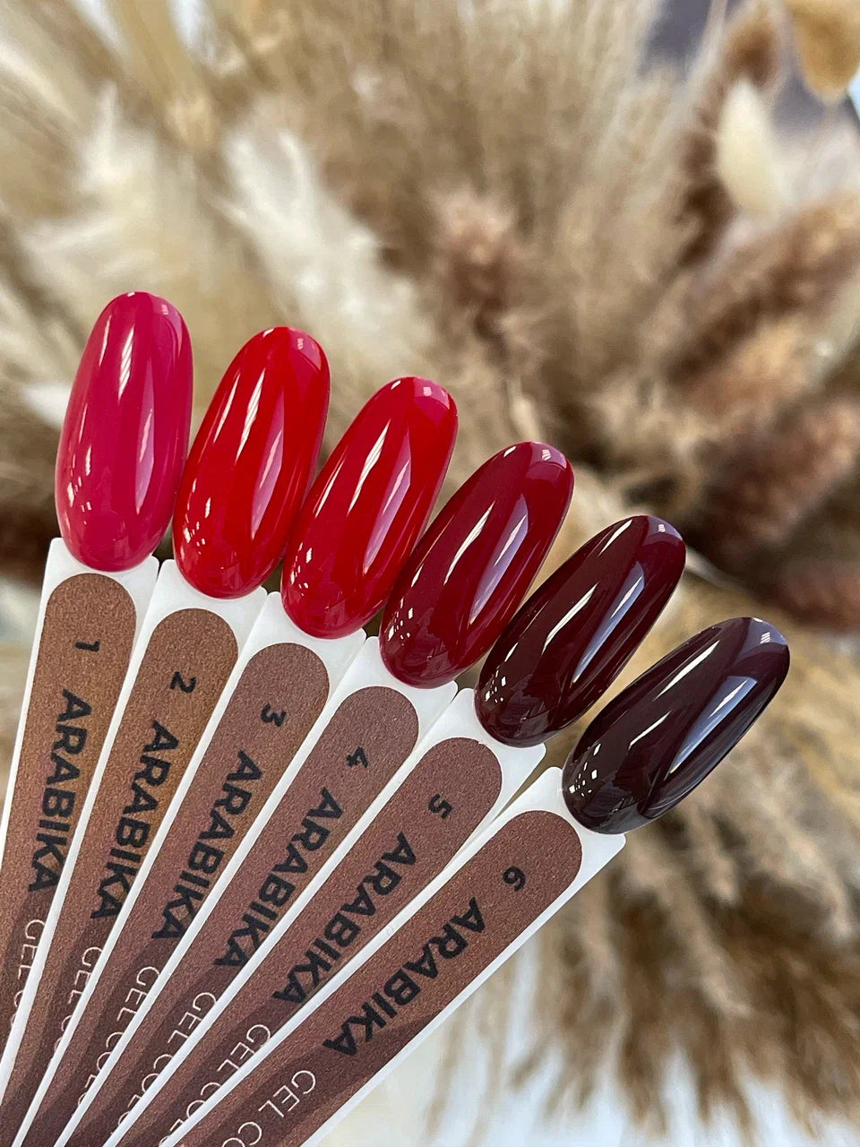 Arabika Gel Polish №6 – 10ml Color Gel Polish | NailProUSA