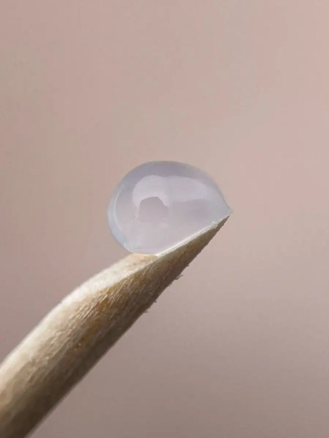 Poly Gel Clear – 30ml Transparent Builder Gel Hybrid | NailProUSA