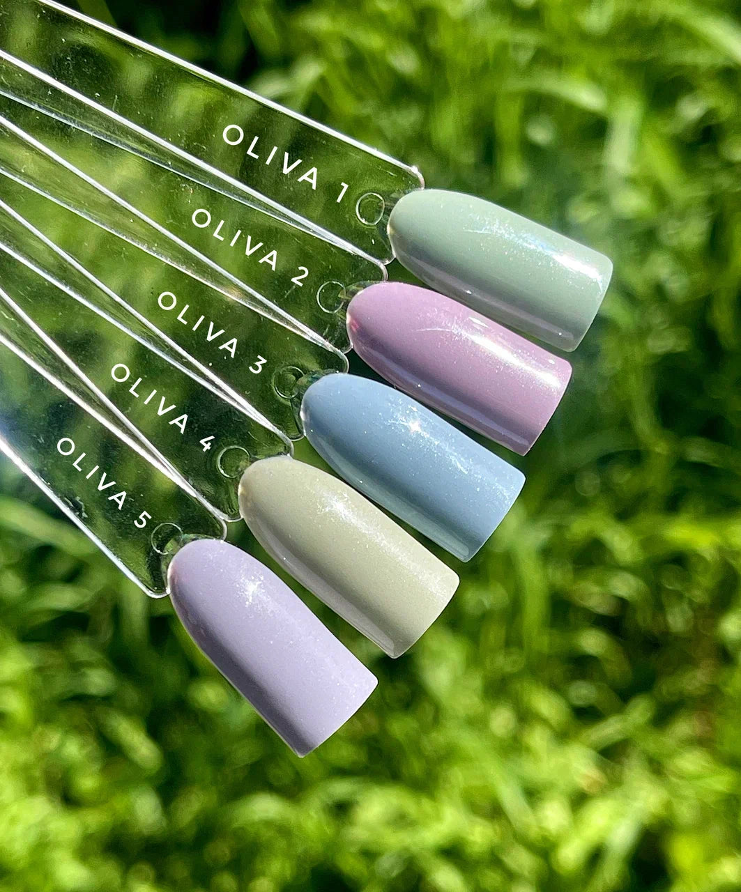 Oliva Gel Polish №5 – 10ml Nail Gel Color | NailProUSA