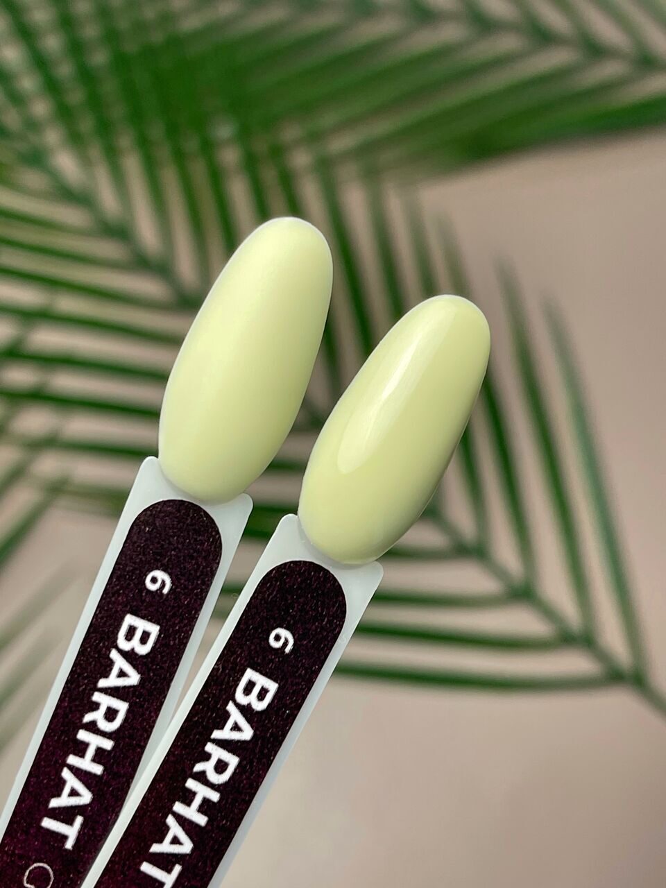 Barhat Gel Polish №6 – 10ml Nail Gel Color | NailProUSA