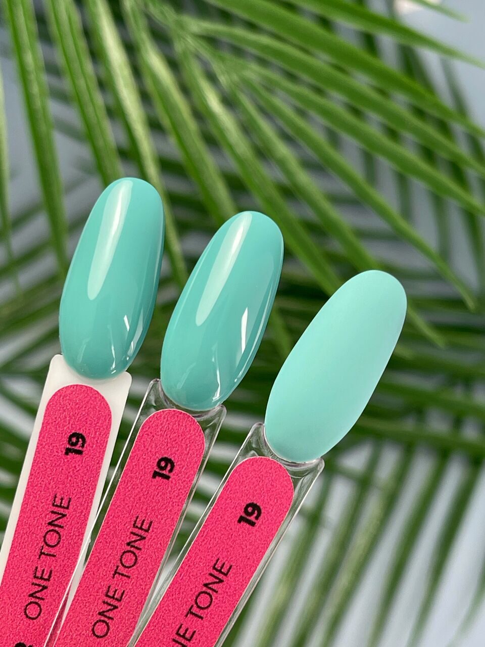 Gel Color One Tone №19 – 10ml Nail Gel Polish | NailProUSA