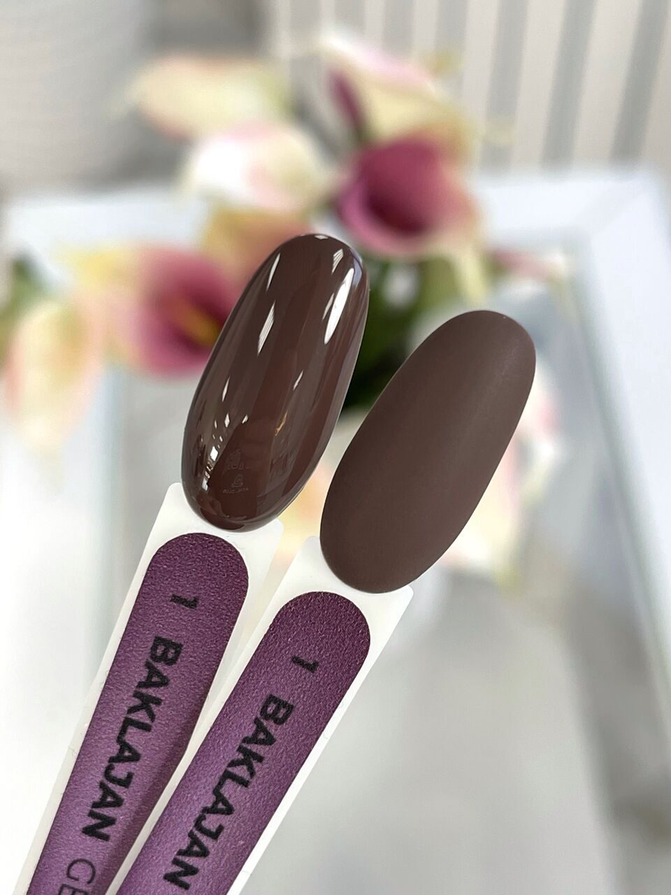 Baklajan Gel Polish №1 – 10ml Color Gel Polish | NailProUSA