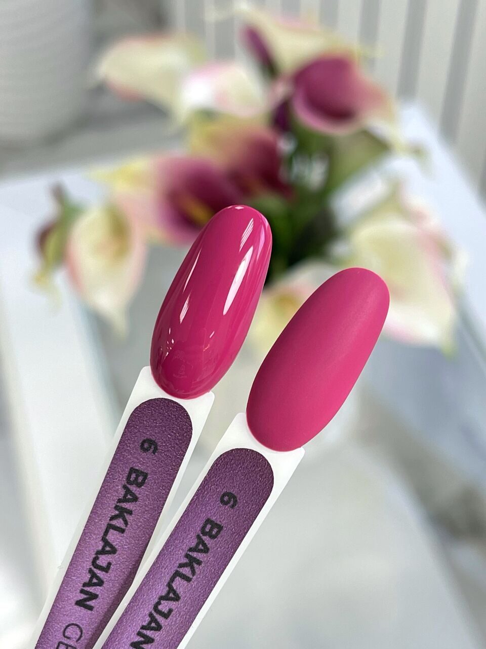 Baklajan Gel Polish №6 – 10ml Color Gel Polish | NailProUSA