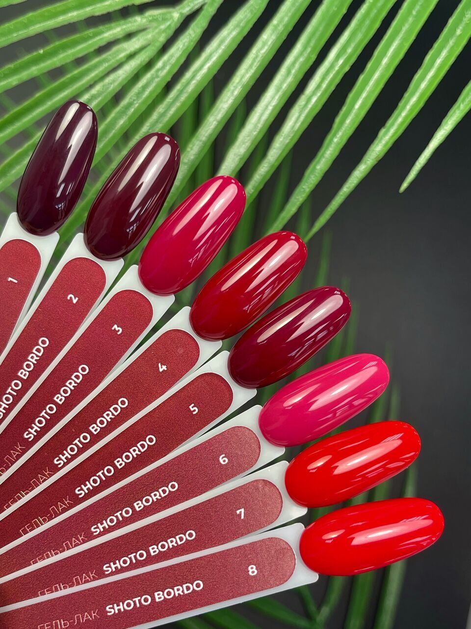 Shoto Bordo Gel Polish №5 – 10ml Nail Gel Color | NailProUSA