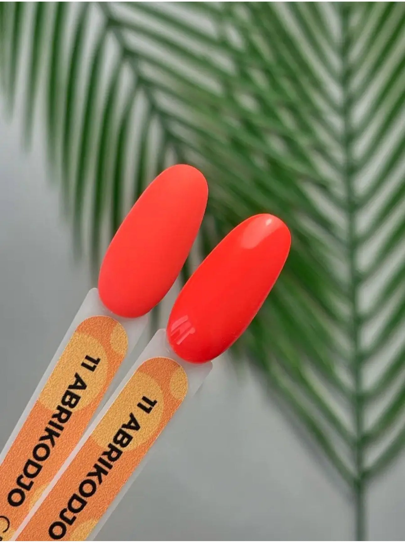 Abrikodjo Gel Polish №11 – 10ml Solid Color Gel | NailProUSA