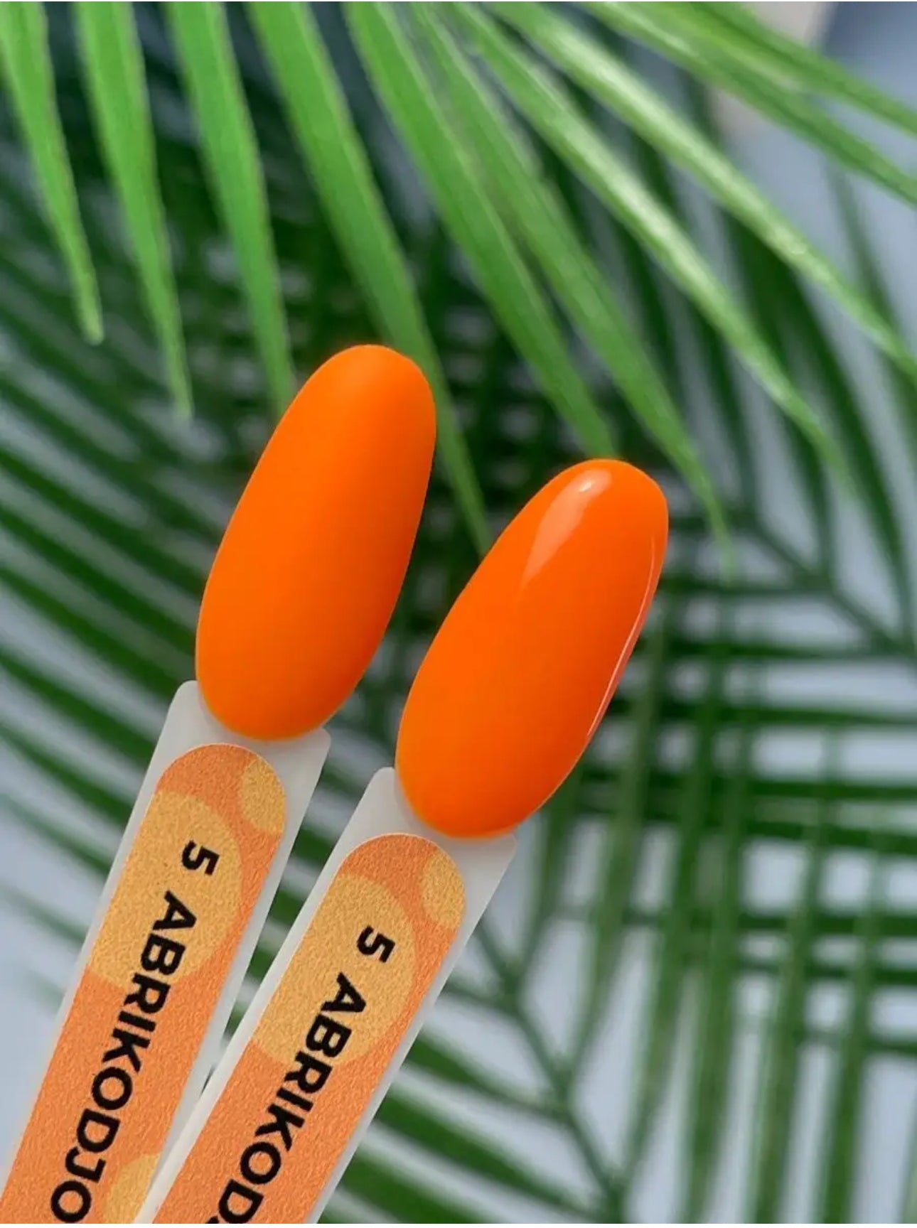 Abrikodjo Gel Polish №5 – 10ml Solid Color Gel | NailProUSA