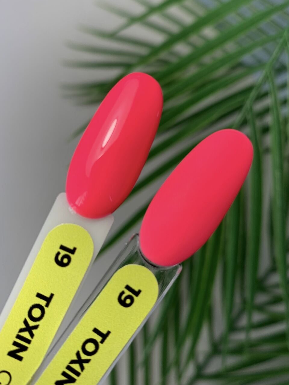 Toxin Gel Polish №19 – 10ml Nail Gel Color | NailProUSA