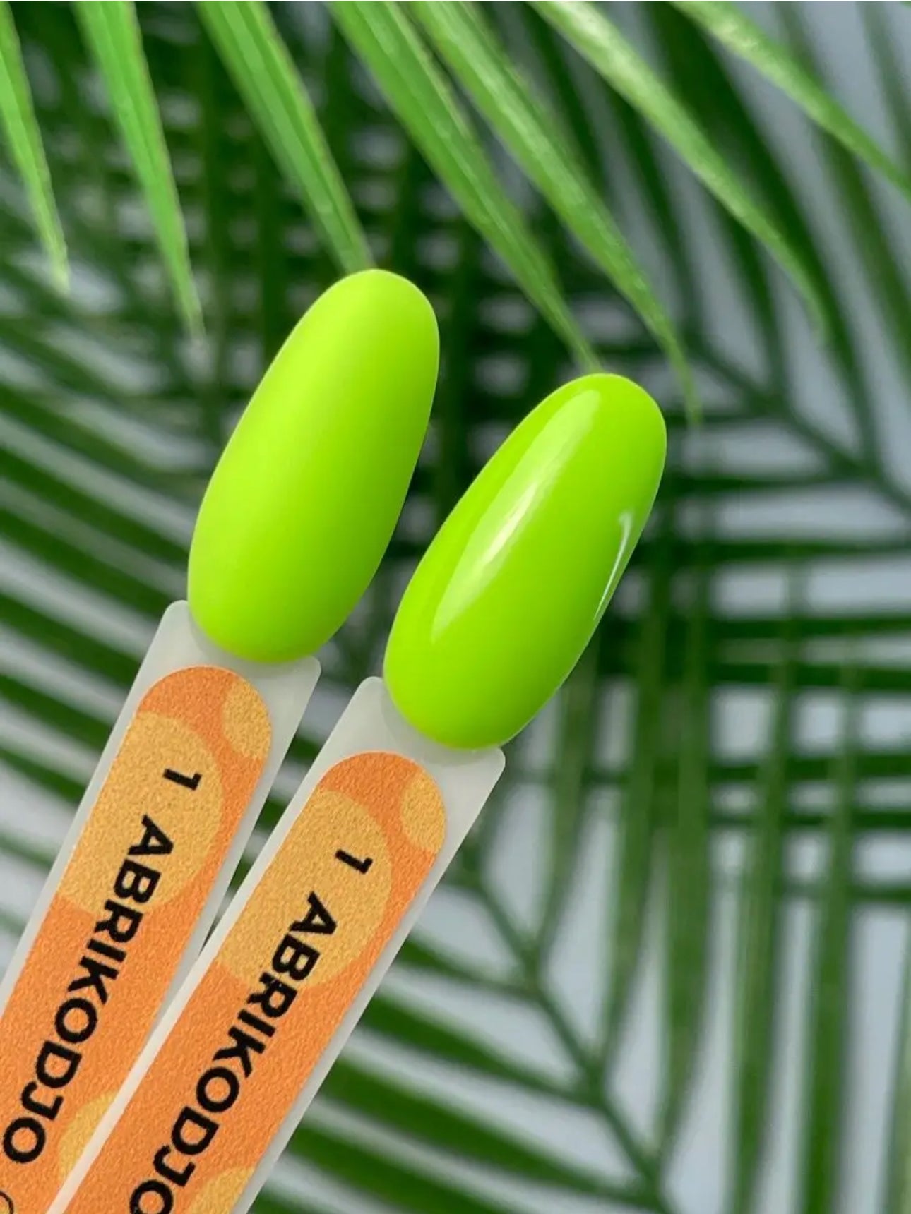 Abrikodjo Gel Polish №1 – 10ml Solid Color Gel | NailProUSA