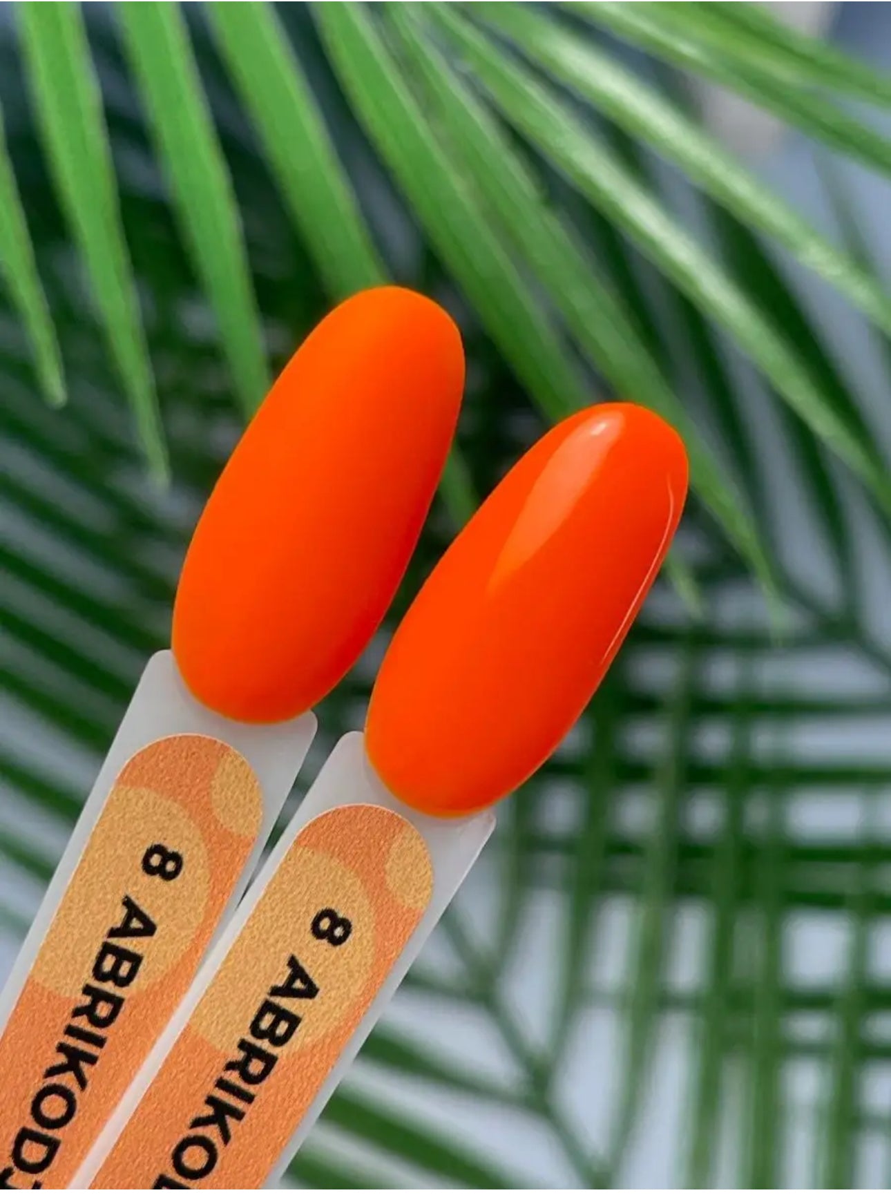 Abrikodjo Gel Polish №8 – 10ml Solid Color Gel | NailProUSA