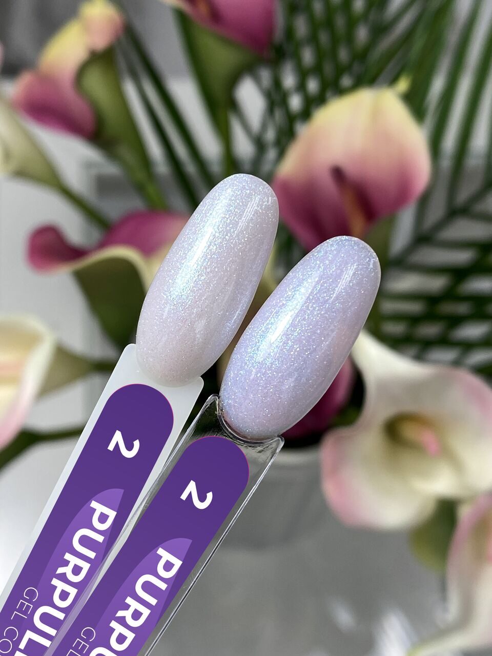 Purpulini Gel Polish №2 – 10ml Nail Gel Color | NailProUSA