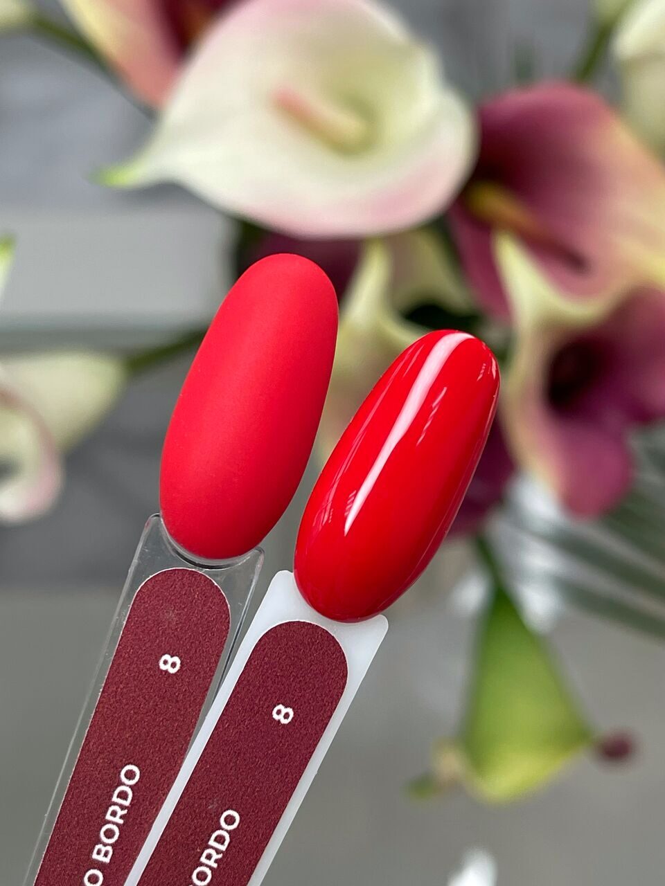 Shoto Bordo Gel Polish №8 – 10ml Nail Gel Color | NailProUSA