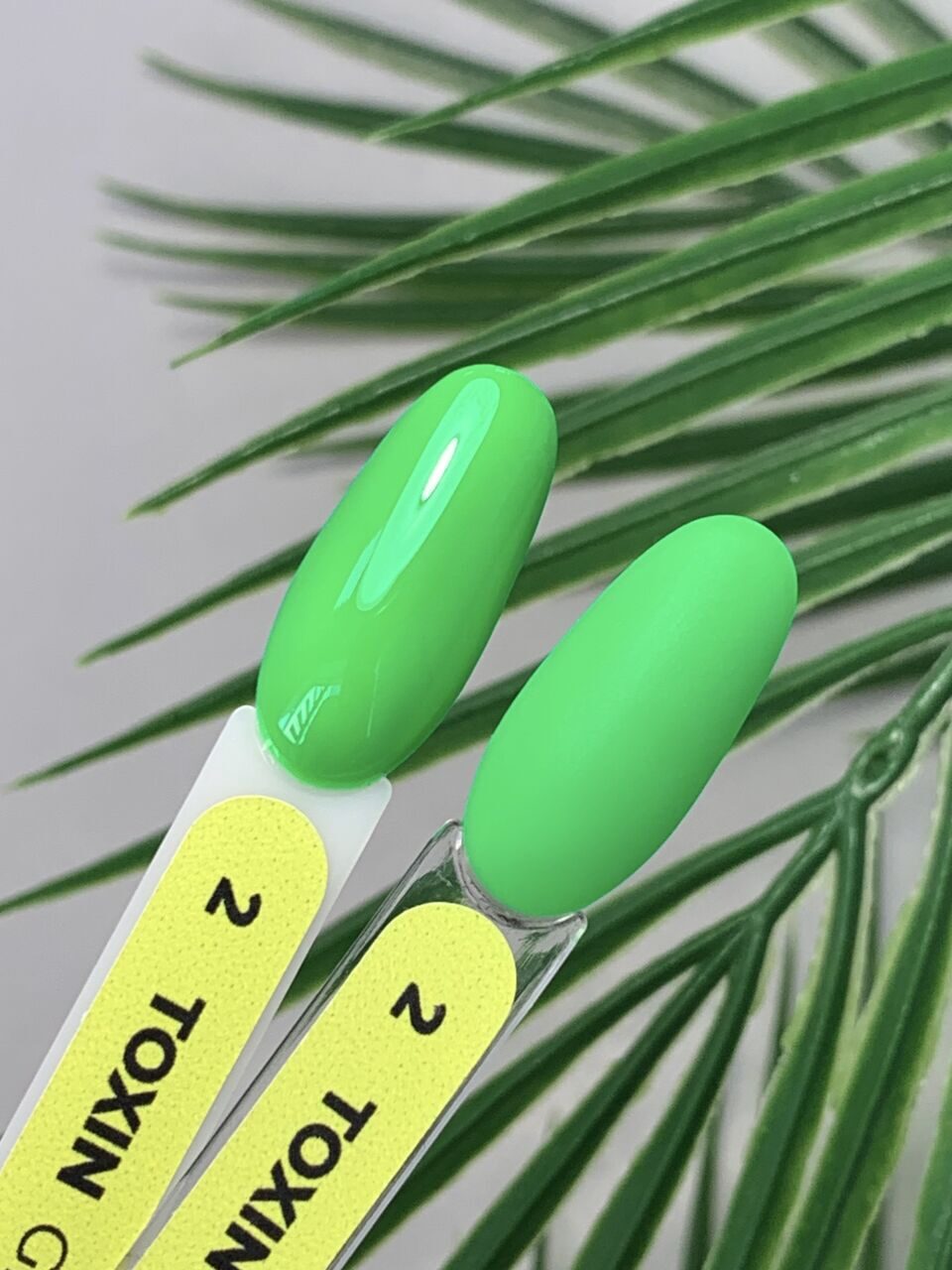 Toxin Gel Polish №2 – 10ml Nail Gel Color | NailProUSA