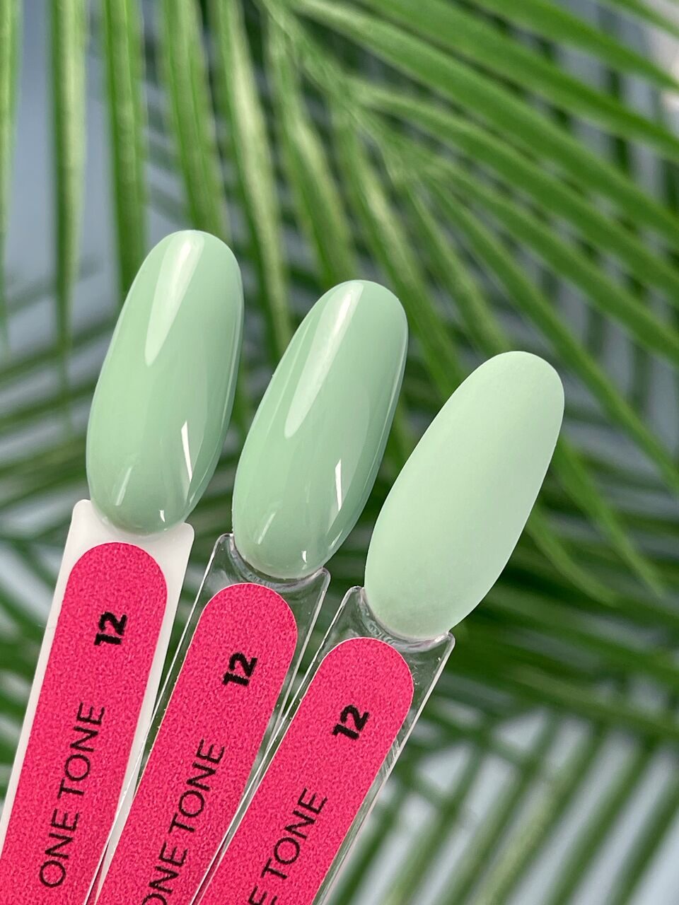 Gel Color One Tone №12 – 10ml Nail Gel Polish | NailProUSA