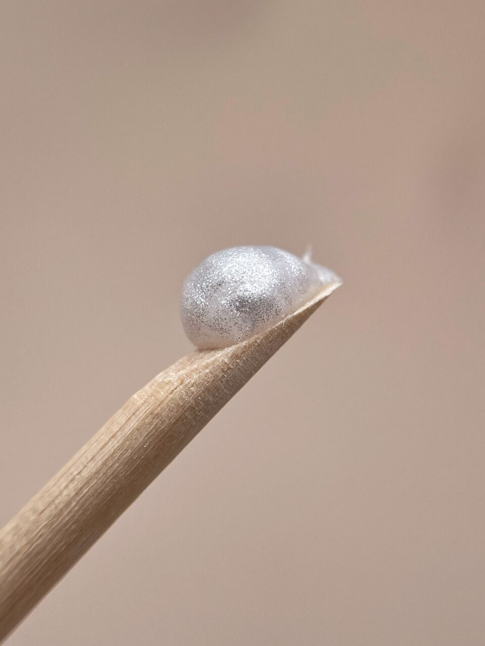 Poly Gel Color №3 – 15ml Builder Nail Gel | NailProUSA