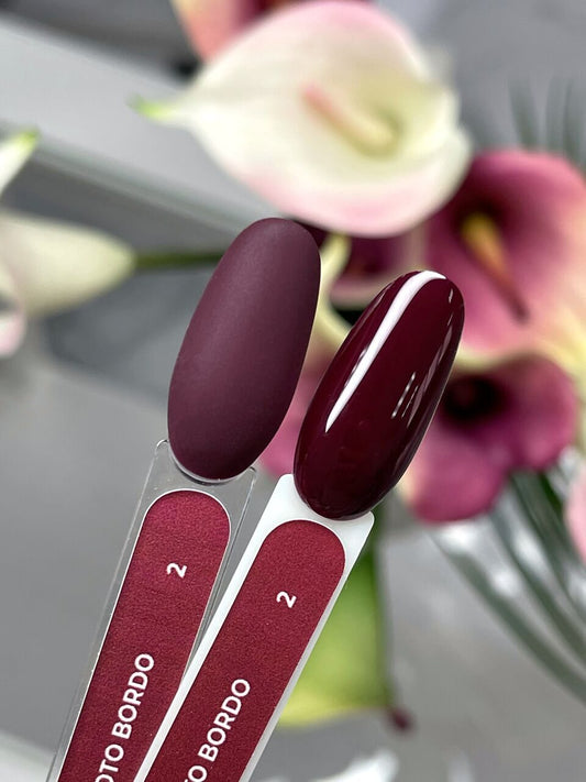 Shoto Bordo Gel Polish №2 – 10ml Nail Gel Color | NailProUSA