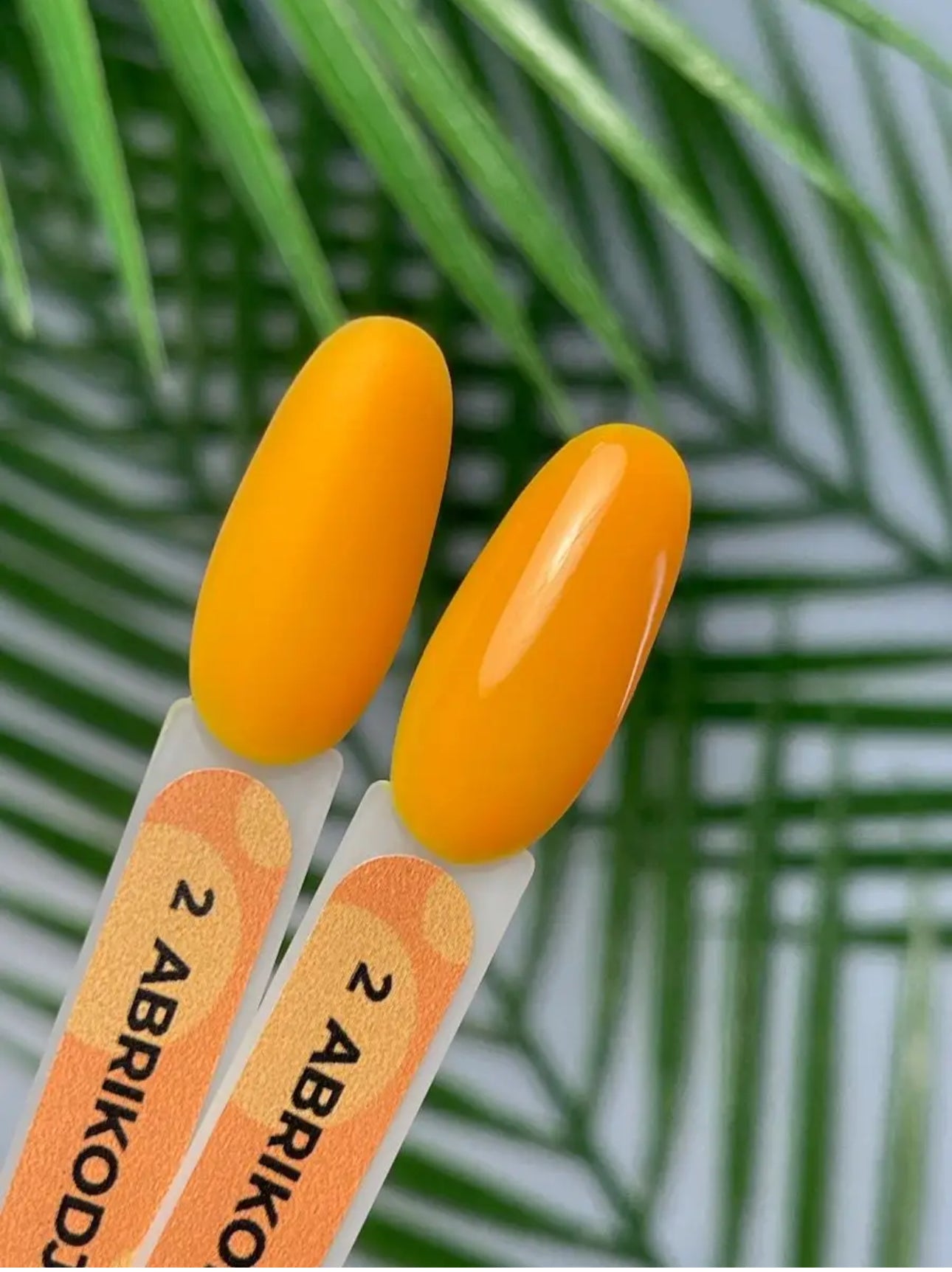 Abrikodjo Gel Polish №2 – 10ml Solid Color Gel | NailProUSA