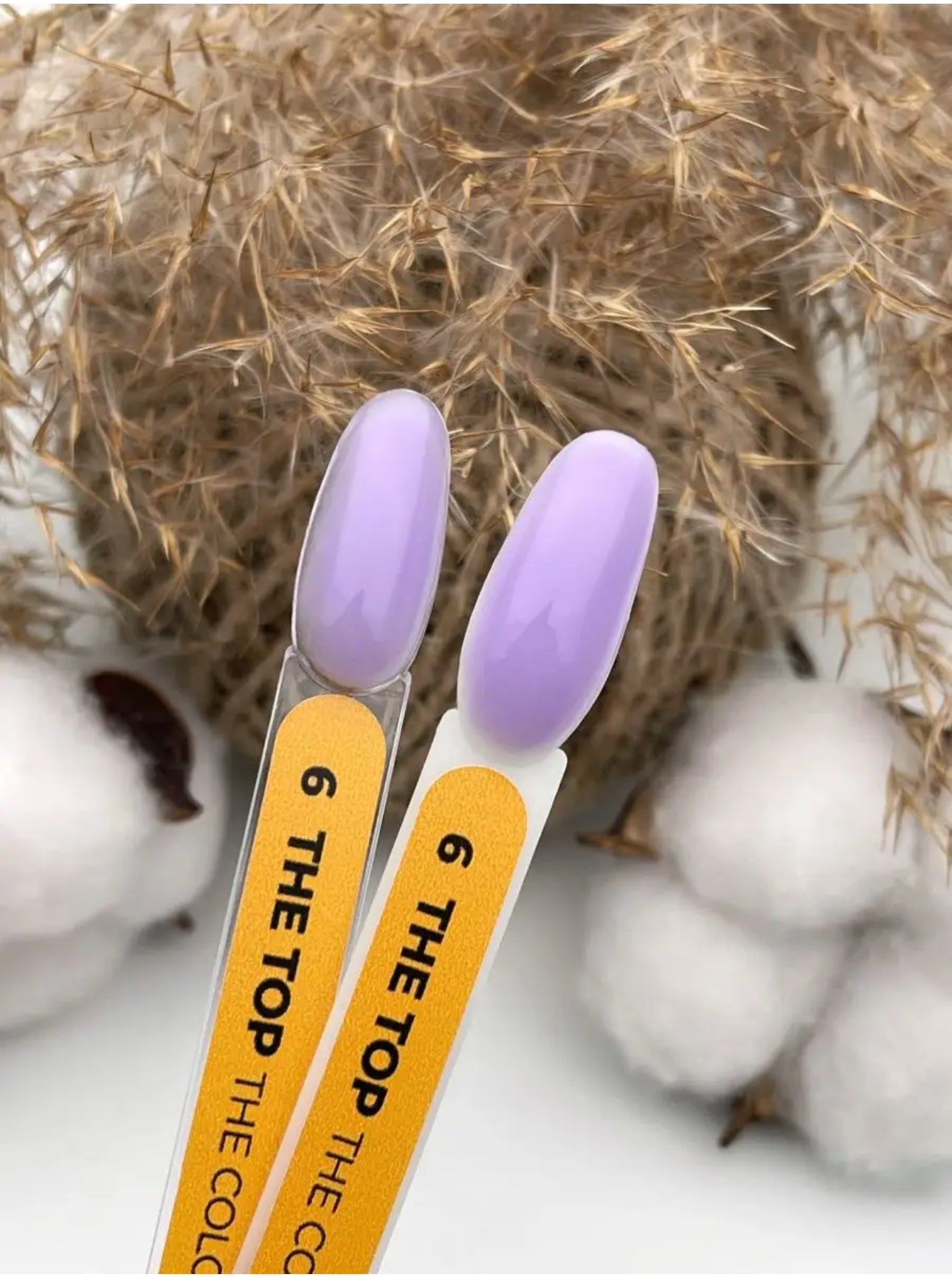 The Top №6 – 10ml Colored Gloss Top Coat | NailProUSA