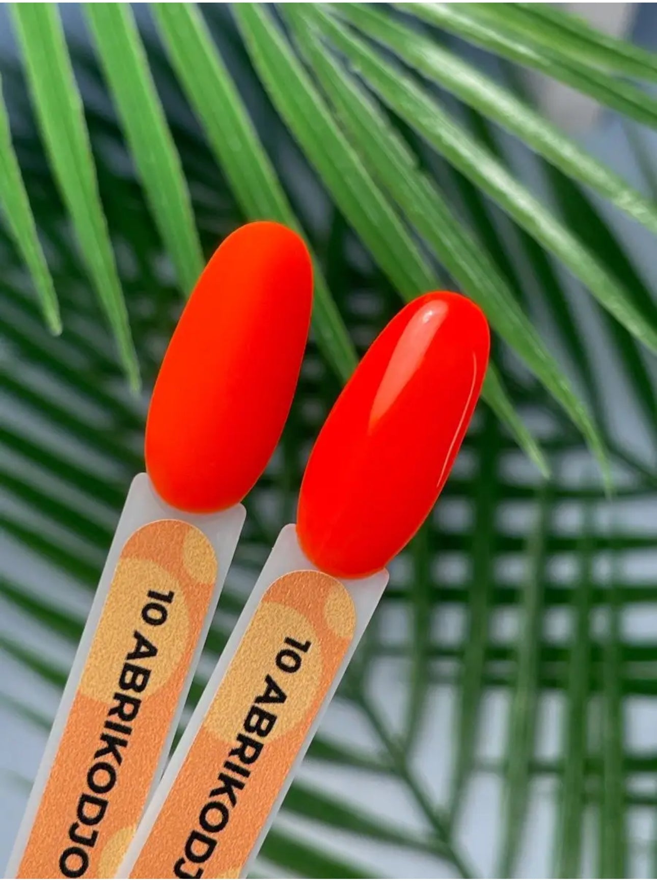 Abrikodjo Gel Polish №10 – 10ml Solid Color Gel | NailProUSA