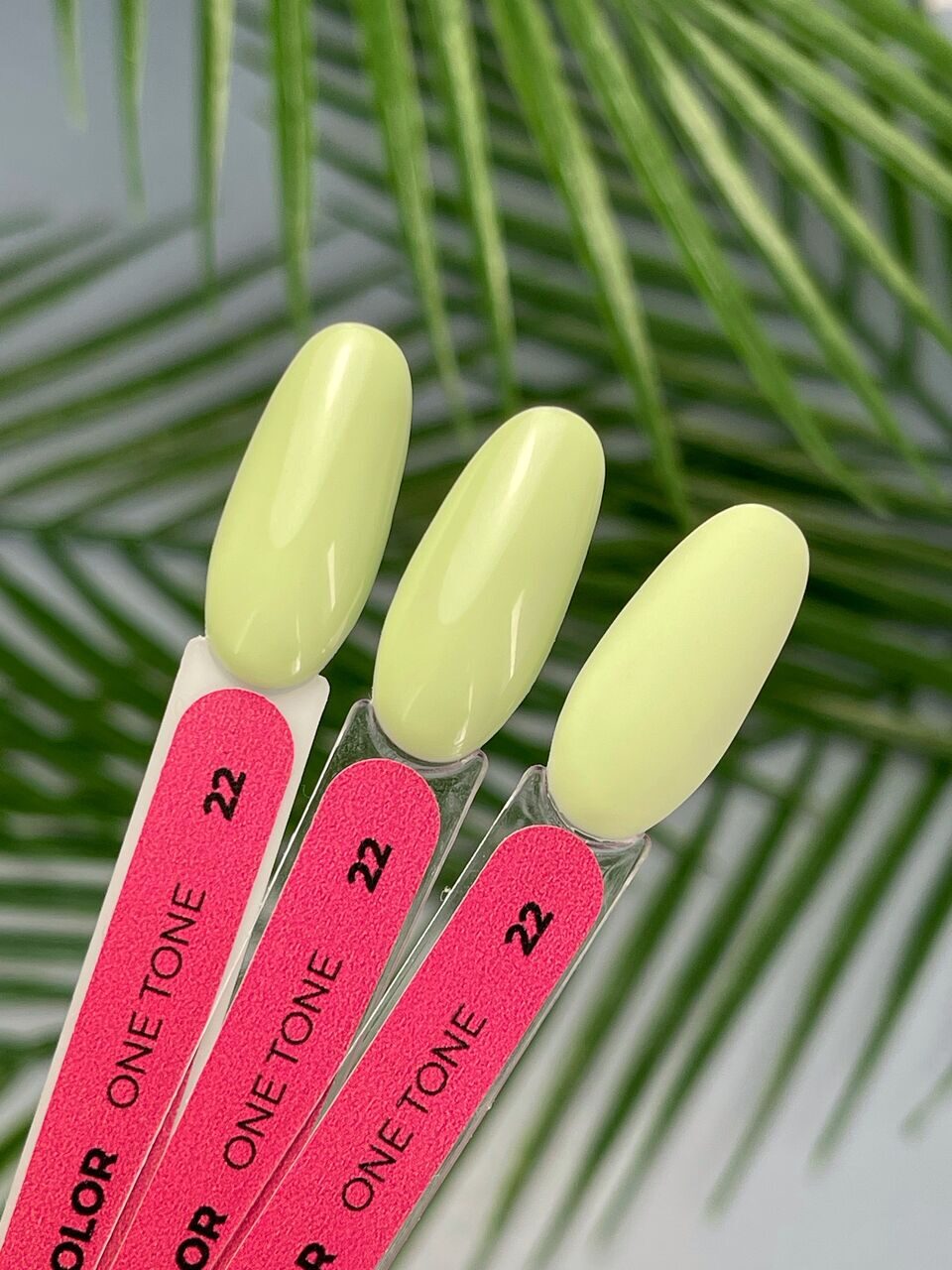 Gel Color One Tone №22 – 10ml Nail Gel Polish | NailProUSA