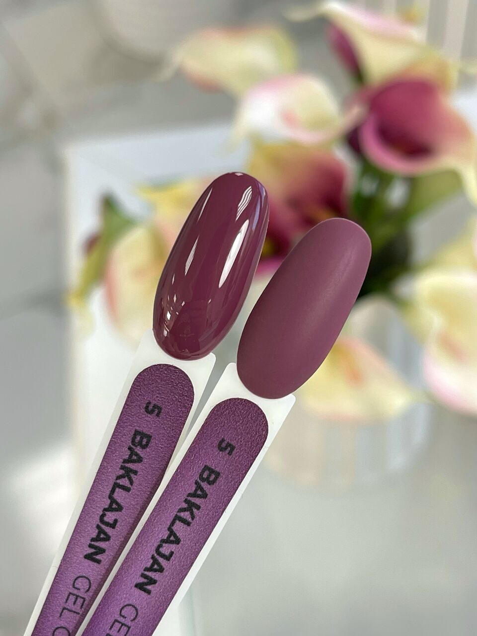 Baklajan Gel Polish №5 – 10ml Color Gel Polish | NailProUSA