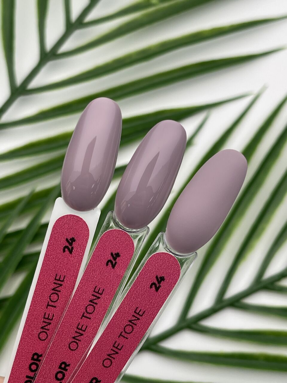 Gel Color One Tone №24 – 10ml Nail Gel Polish | NailProUSA